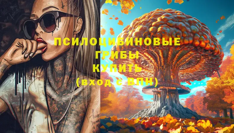 Галлюциногенные грибы MAGIC MUSHROOMS  закладки  Костомукша 